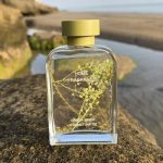 خوشبو کننده home fragrance حجم 200 میل