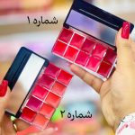 پالت رژ لب جامد و برق لب ۱۲ رنگی دئوچه مدل مات