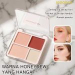 پالت خشک و چرب رژگونه و هایلایتر آیگودکو